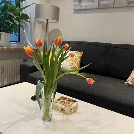 Modernes Mit Balkon & Kostenlosem Parkplatz